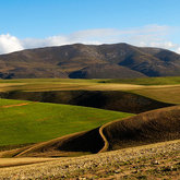 Napier Fields nearby Gansbaai